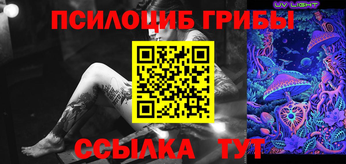 Галлюциногенные грибы Cubensis Гай