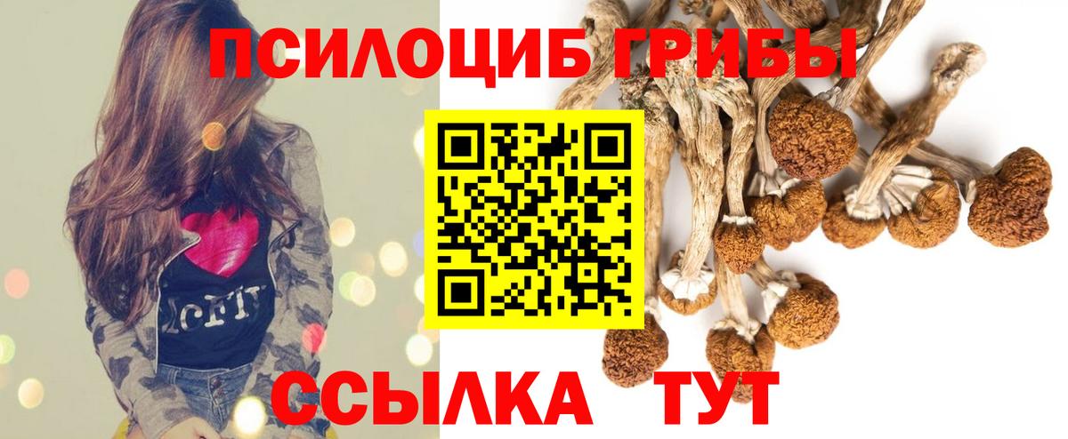 Гай  Галлюциногенные грибы ЛСД  Вход с VPN 